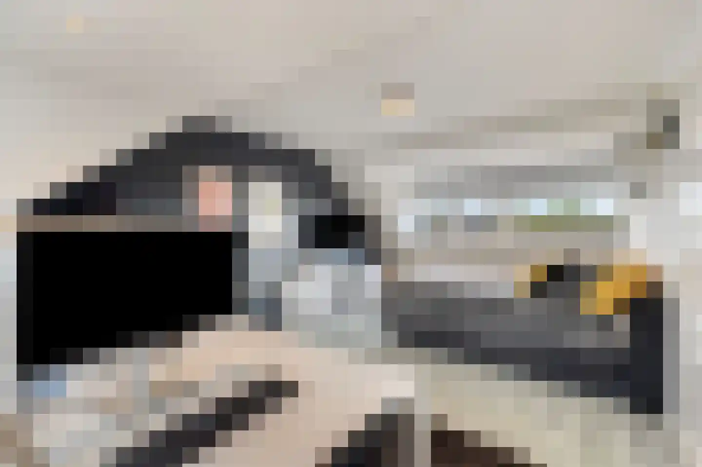 Zwartepad 10 Warmenhuizen thumbnail 49