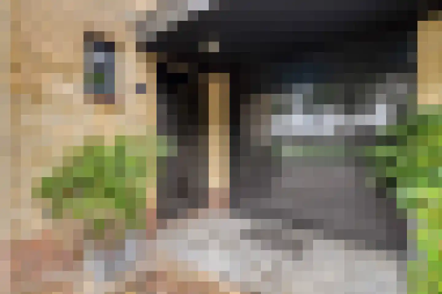 Zwartepad 10 Warmenhuizen thumbnail 5