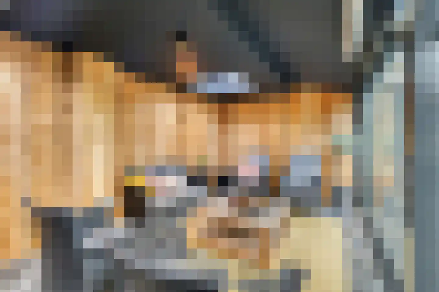Zwartepad 10 Warmenhuizen thumbnail 50