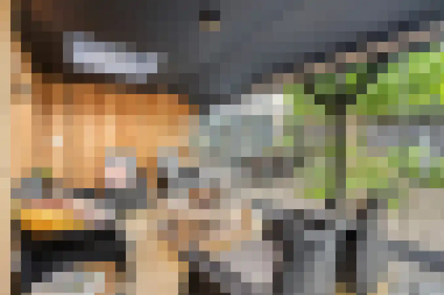 Zwartepad 10 Warmenhuizen thumbnail 51