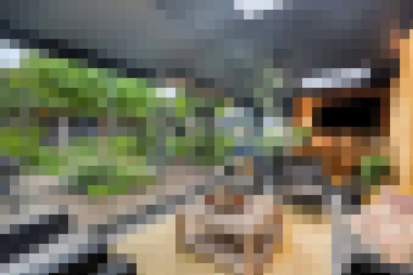 Zwartepad 10 Warmenhuizen thumbnail 52