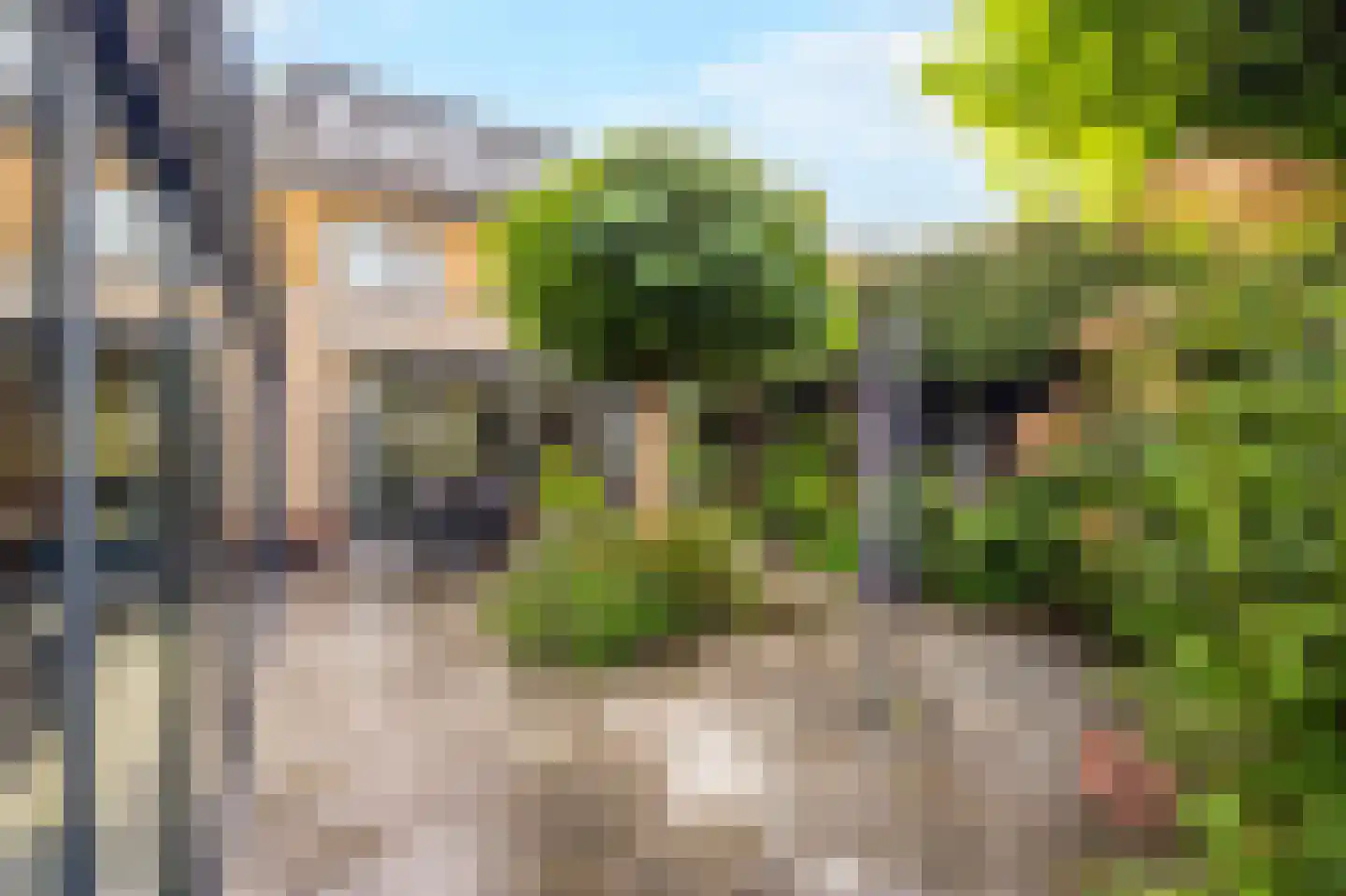 Zwartepad 10 Warmenhuizen thumbnail 55