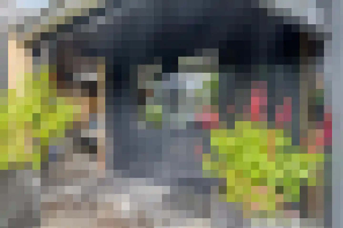 Zwartepad 10 Warmenhuizen thumbnail 56