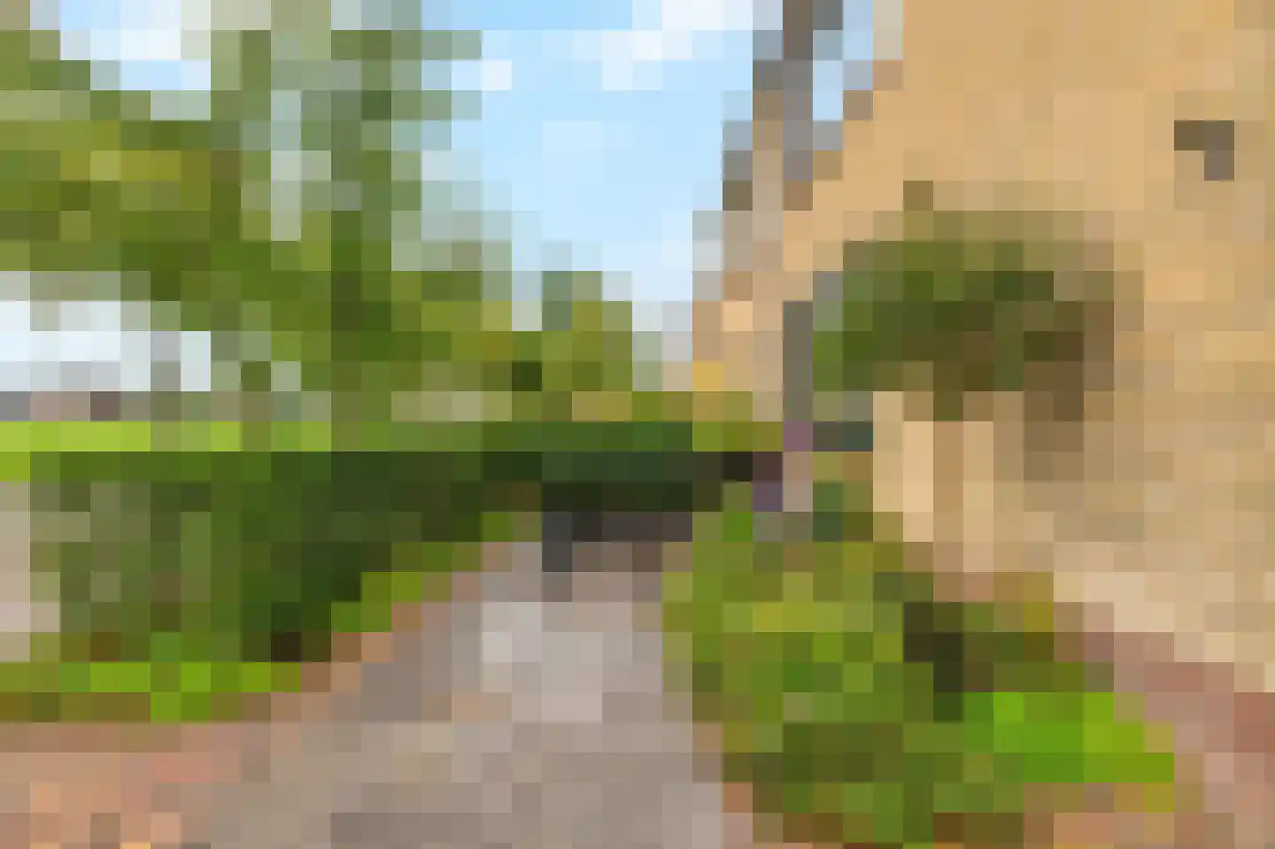 Zwartepad 10 Warmenhuizen thumbnail 6