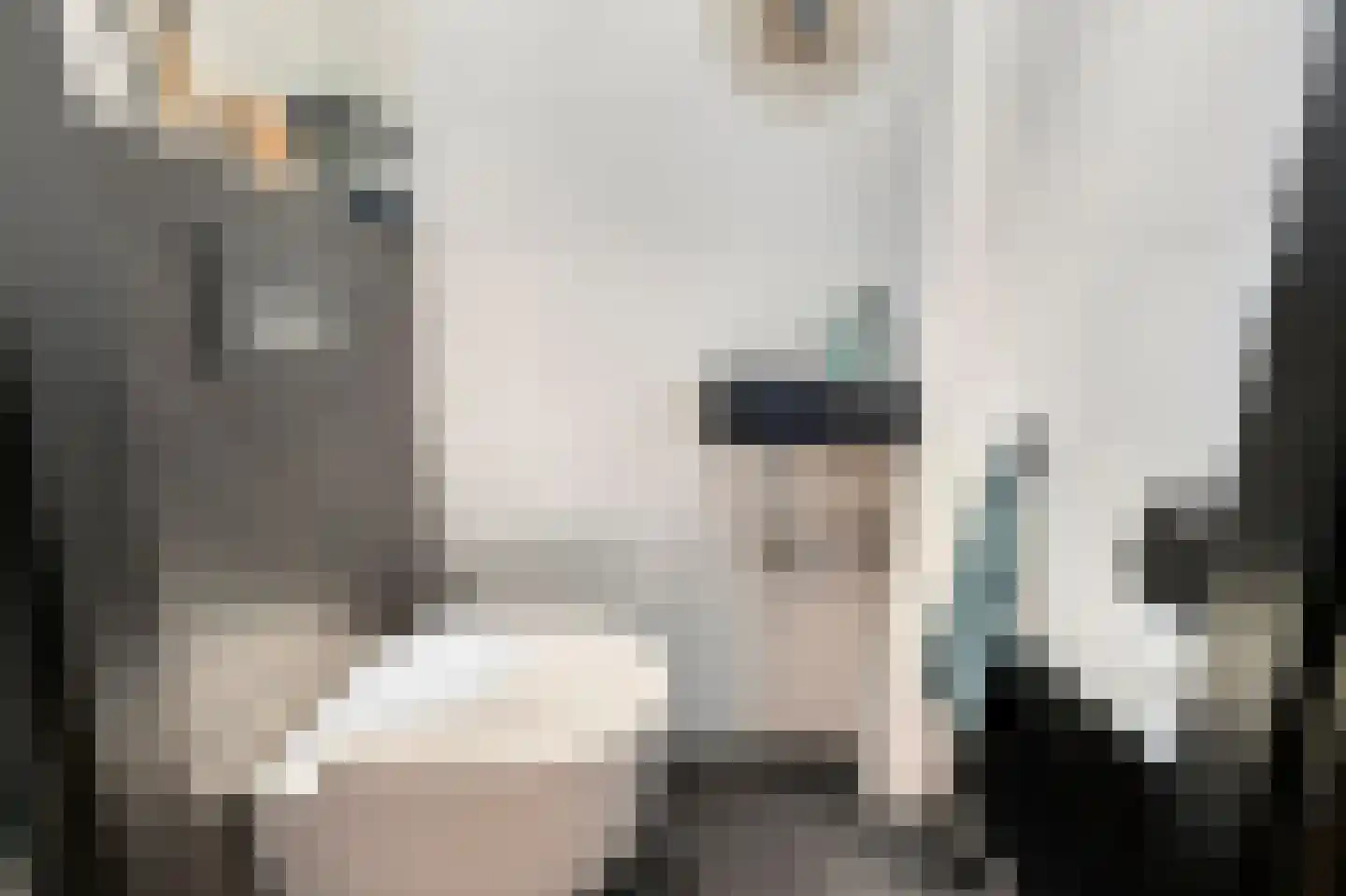 Zwartepad 10 Warmenhuizen thumbnail 9