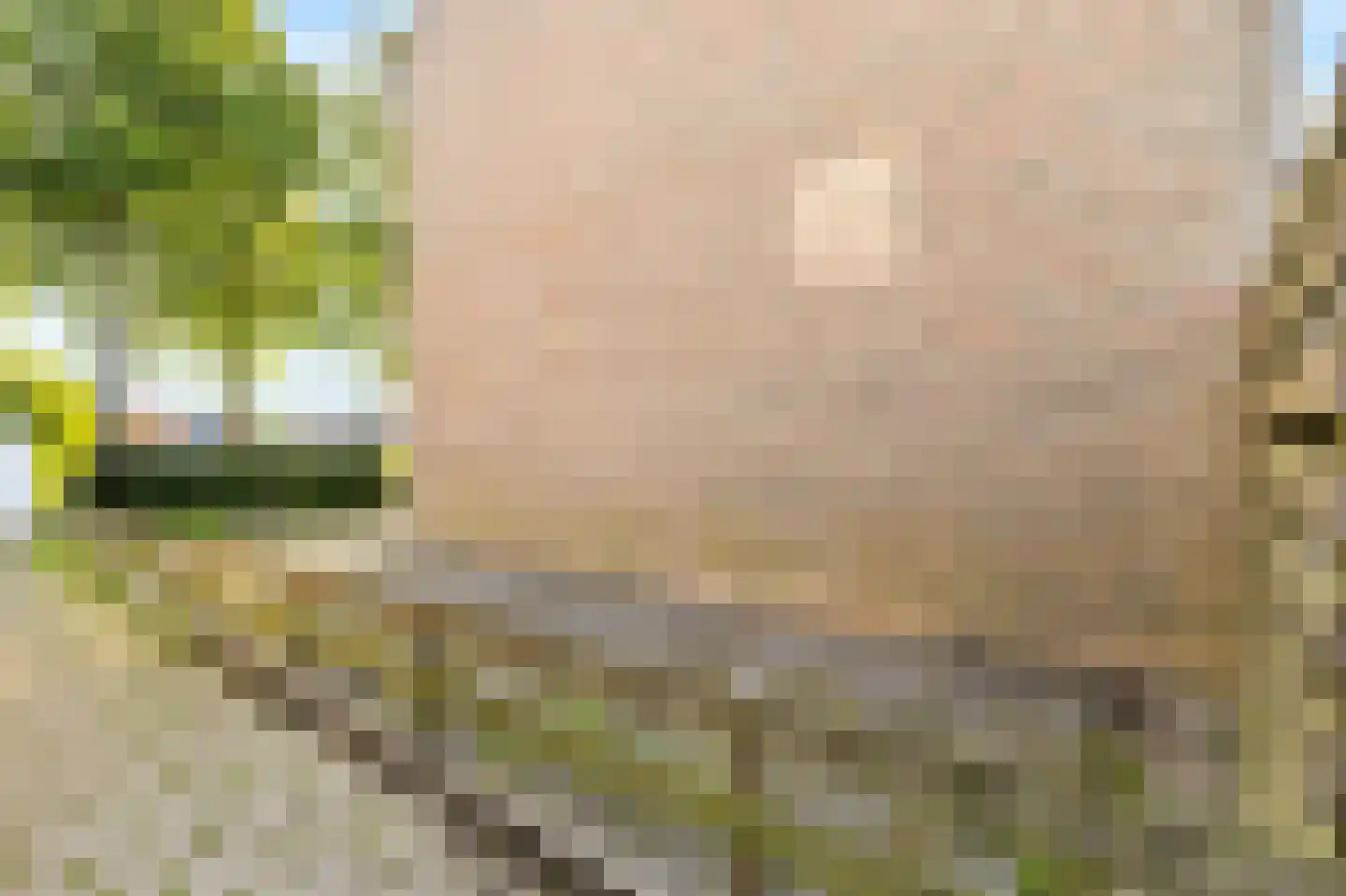 Zwartepad 22 Warmenhuizen thumbnail 10