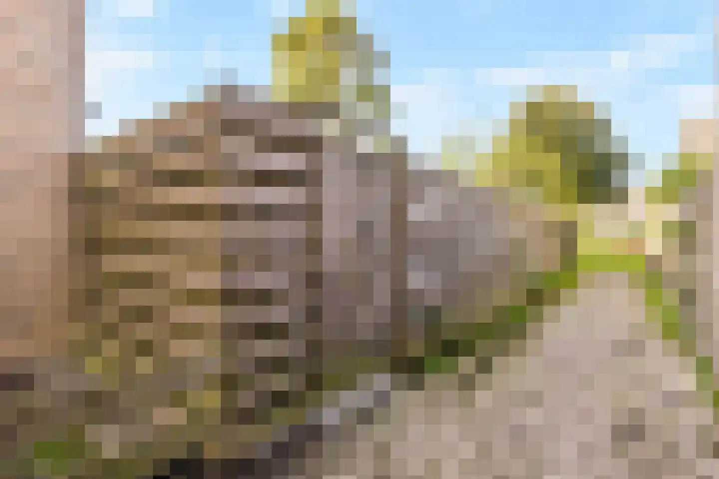 Zwartepad 22 Warmenhuizen thumbnail 11