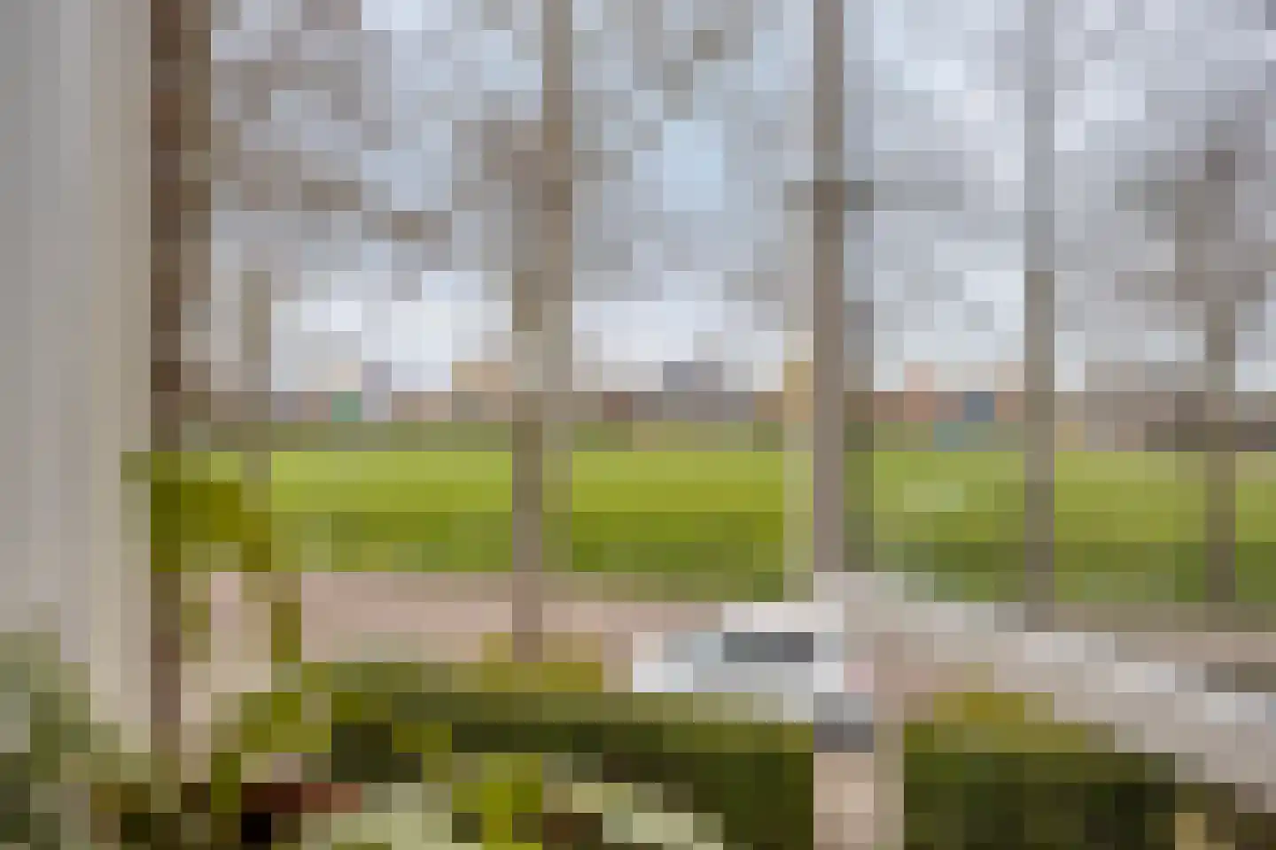 Zwartepad 22 Warmenhuizen thumbnail 21