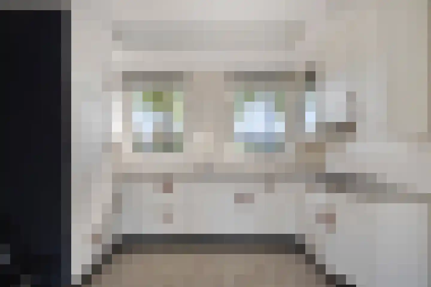 Zwartepad 22 Warmenhuizen thumbnail 21