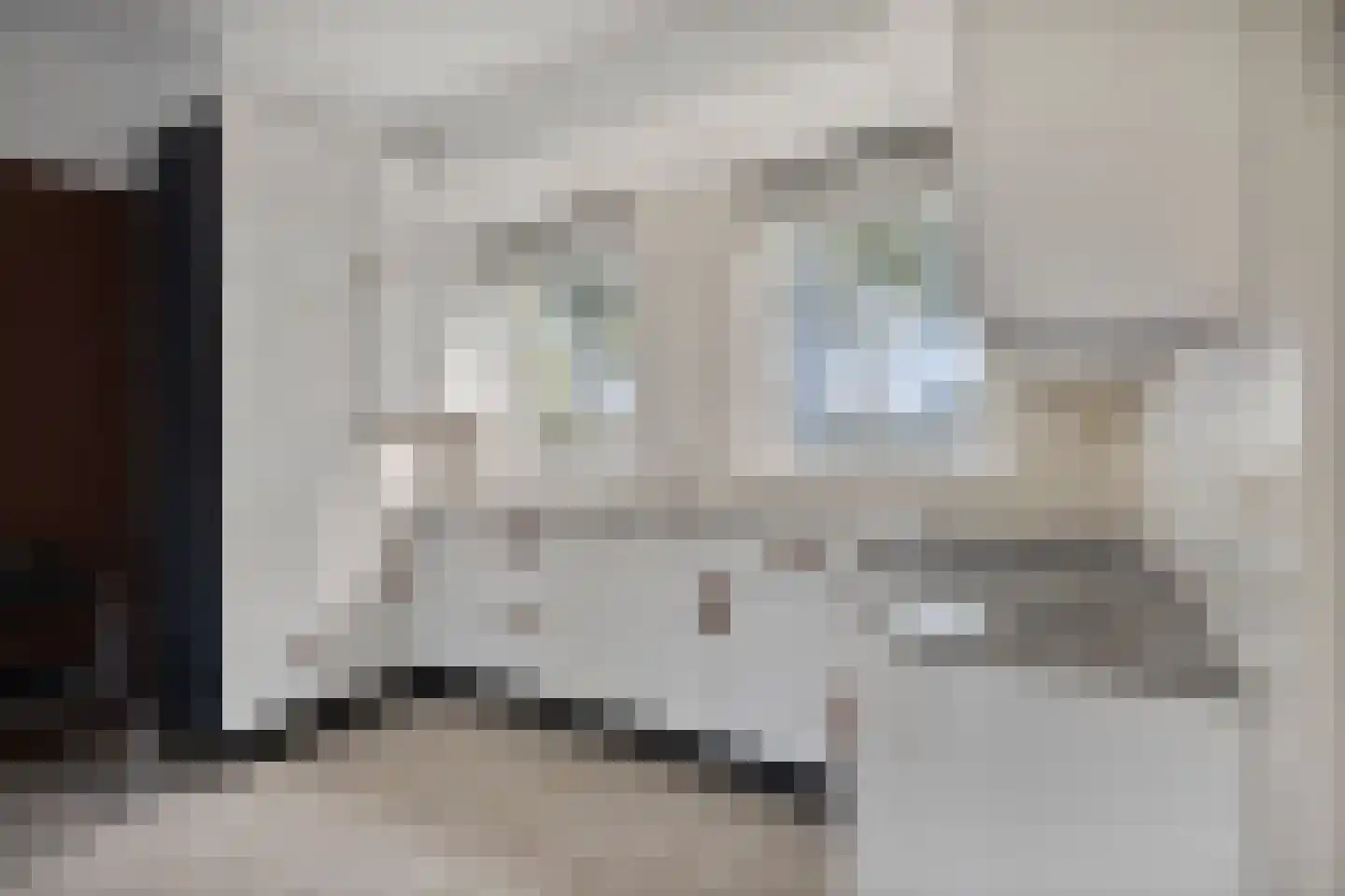 Zwartepad 22 Warmenhuizen thumbnail 22