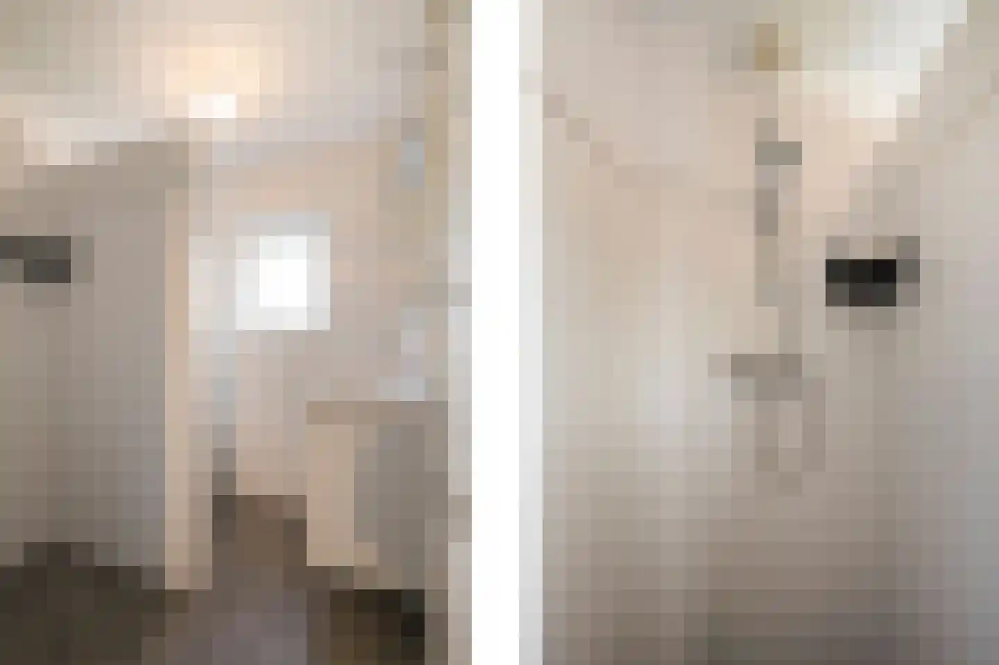 Zwartepad 22 Warmenhuizen thumbnail 4