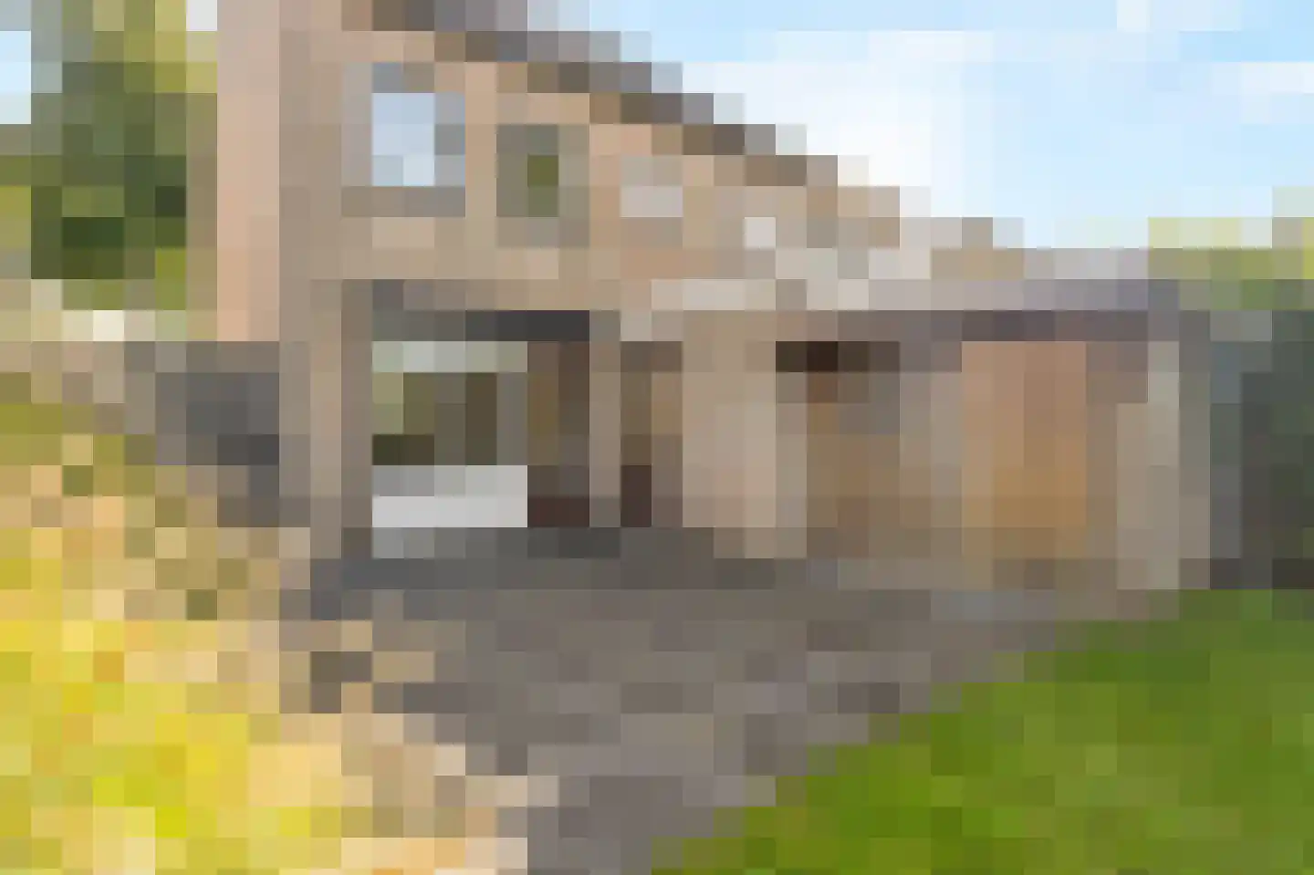 Zwartepad 22 Warmenhuizen thumbnail 42