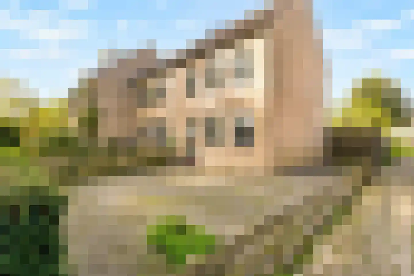 Zwartepad 22 Warmenhuizen thumbnail 49