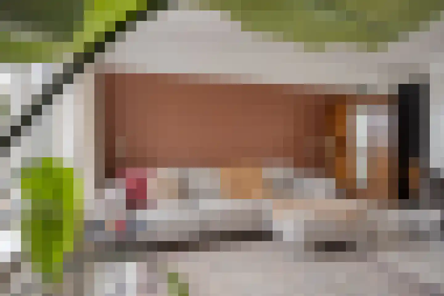 Zwartepad 22 Warmenhuizen thumbnail 5