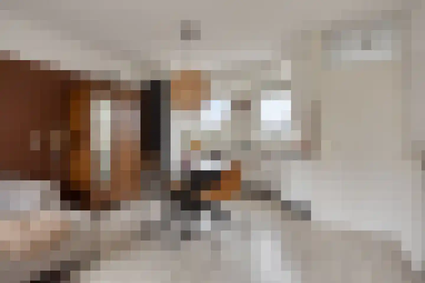 Zwartepad 22 Warmenhuizen thumbnail 6