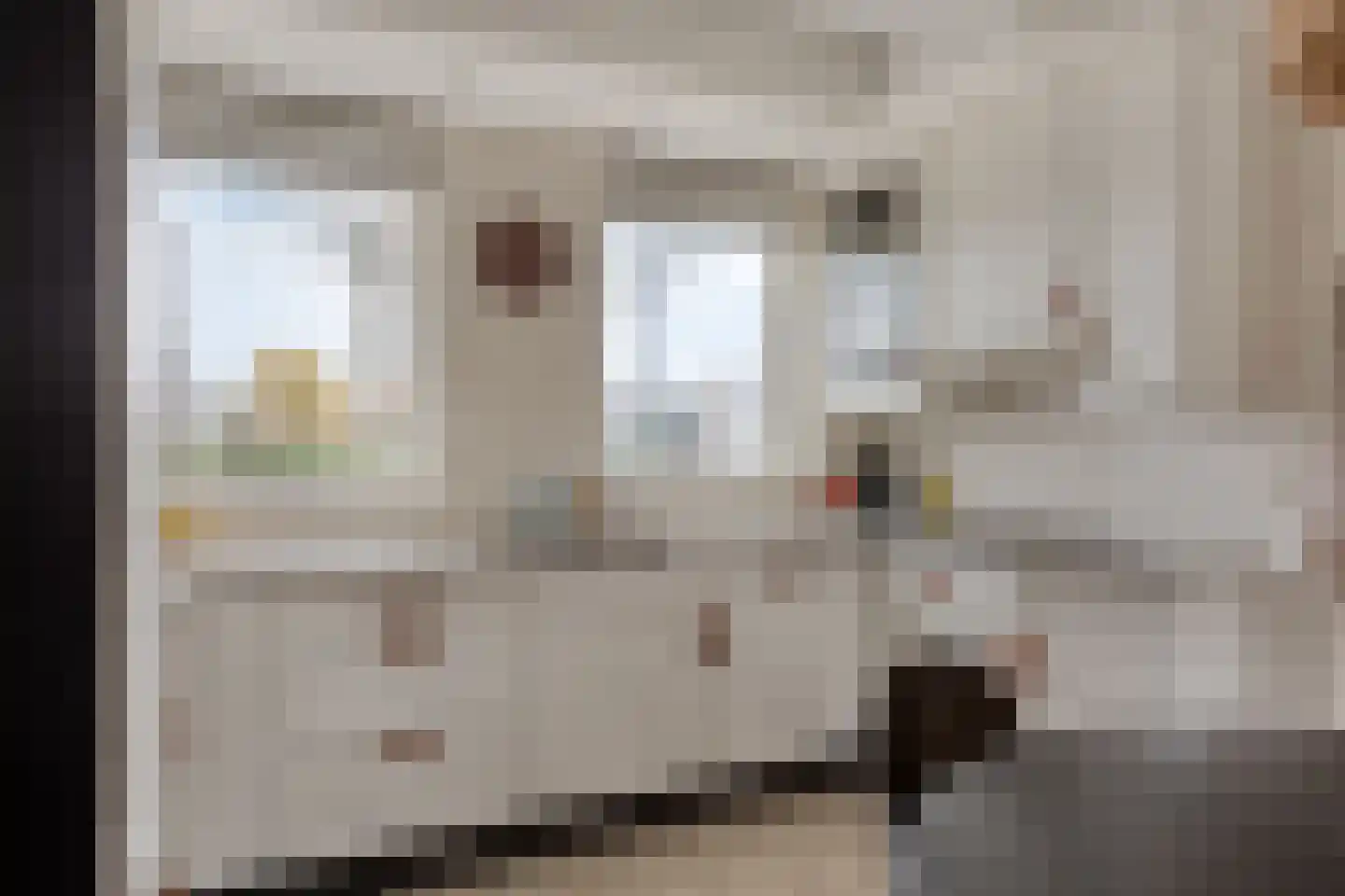 Zwartepad 22 Warmenhuizen thumbnail 8