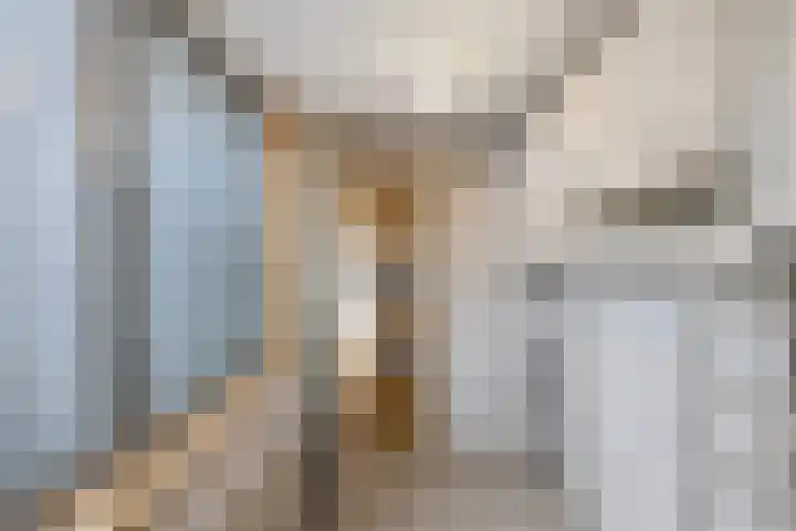 Zwartepad 8 Warmenhuizen thumbnail 13