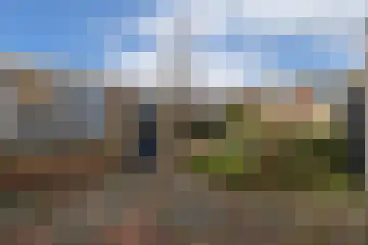Zwartepad 8 Warmenhuizen thumbnail 15