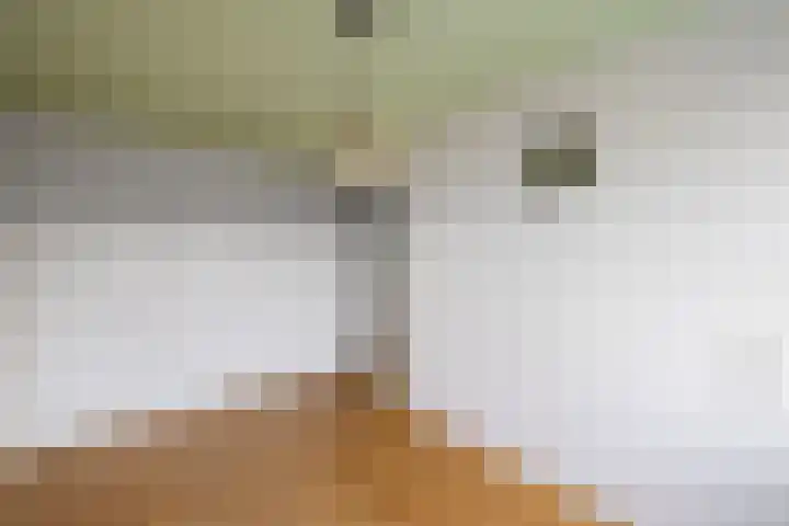Zwartepad 8 Warmenhuizen thumbnail 18