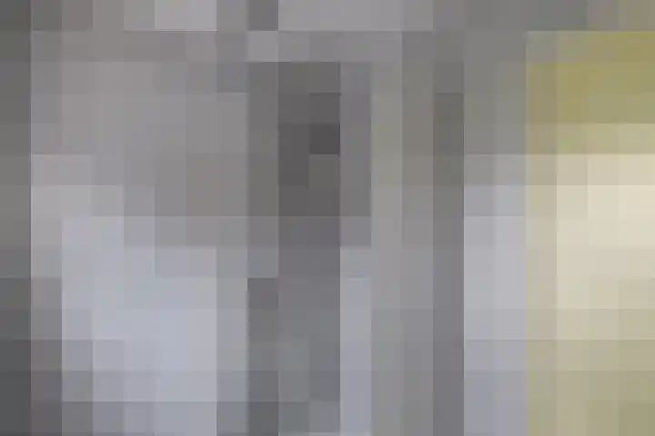 Zwartepad 8 Warmenhuizen thumbnail 23