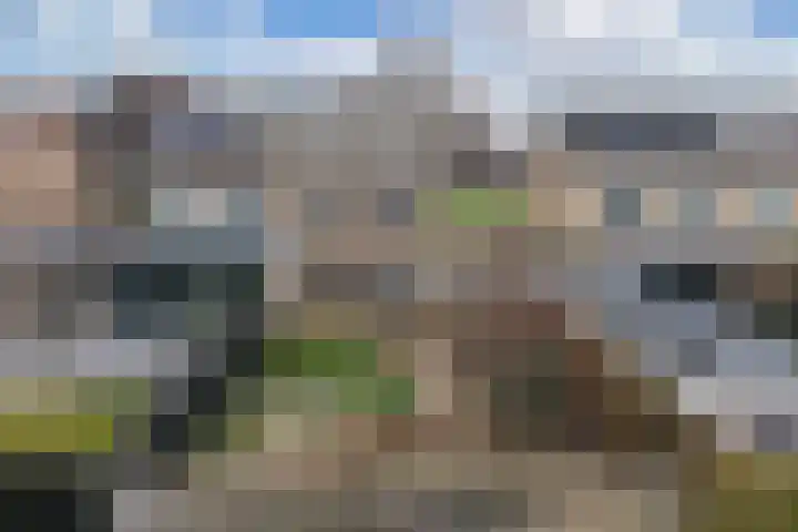 Zwartepad 8 Warmenhuizen thumbnail 28