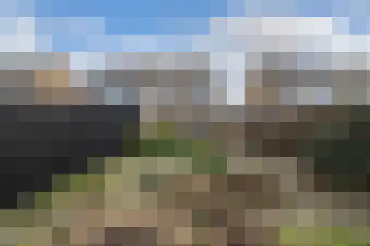 Zwartepad 8 Warmenhuizen thumbnail 29