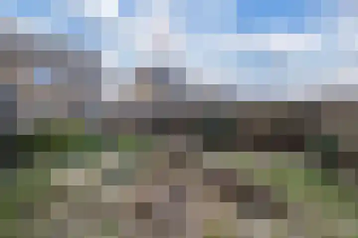 Zwartepad 8 Warmenhuizen thumbnail 31