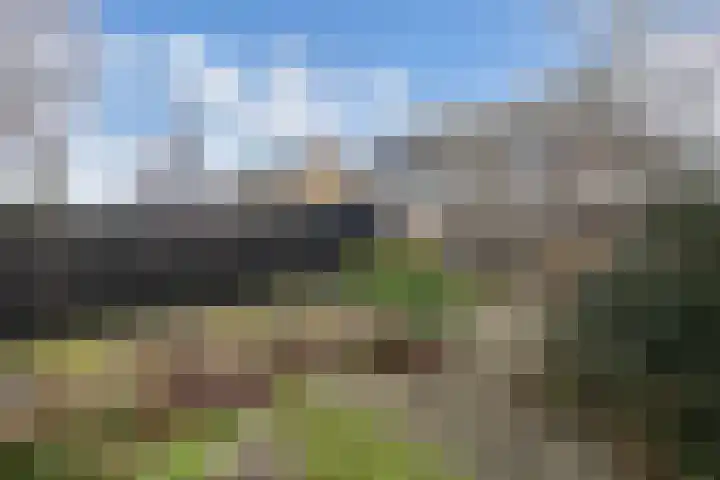 Zwartepad 8 Warmenhuizen thumbnail 32
