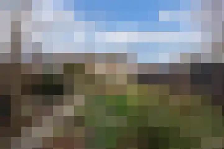Zwartepad 8 Warmenhuizen thumbnail 33