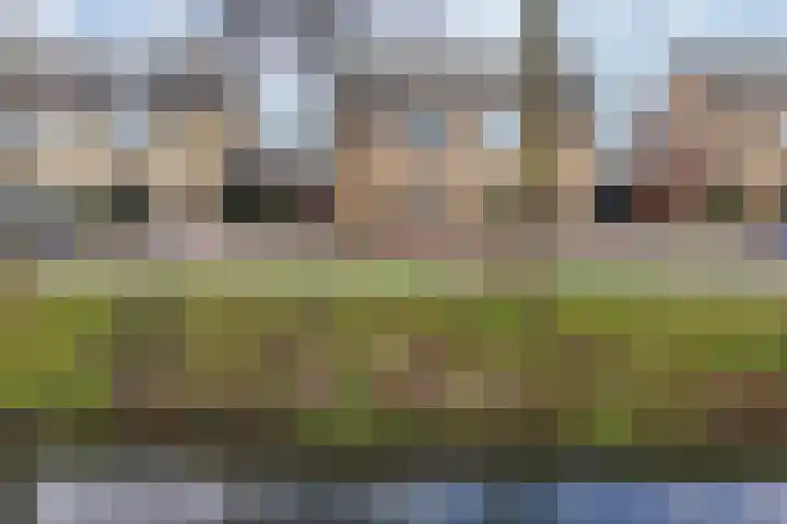 Zwartepad 8 Warmenhuizen thumbnail 34
