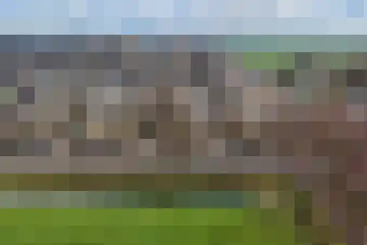 Zwartepad 8 Warmenhuizen thumbnail 35