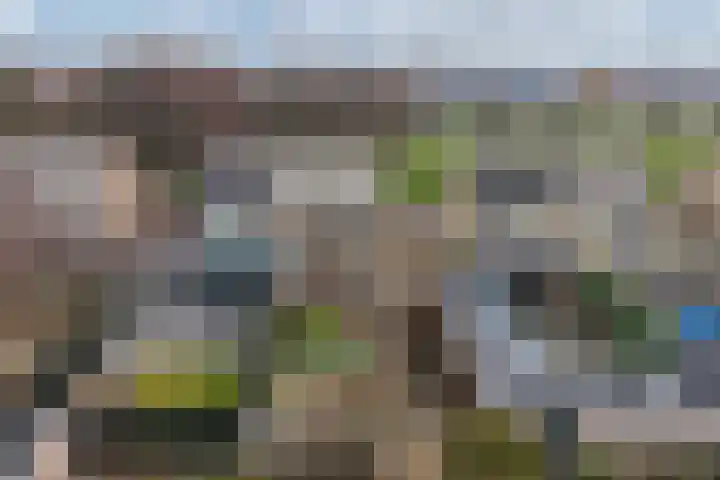 Zwartepad 8 Warmenhuizen thumbnail 4