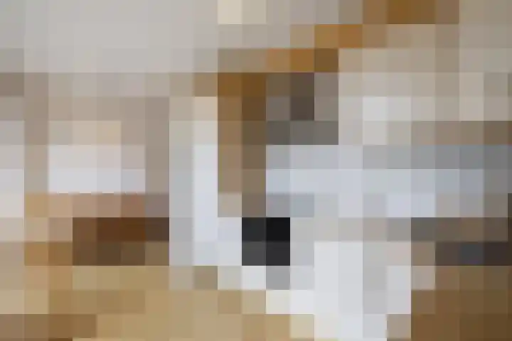 Zwartepad 8 Warmenhuizen thumbnail 8