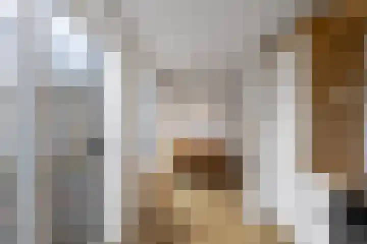 Zwartepad 8 Warmenhuizen thumbnail 9
