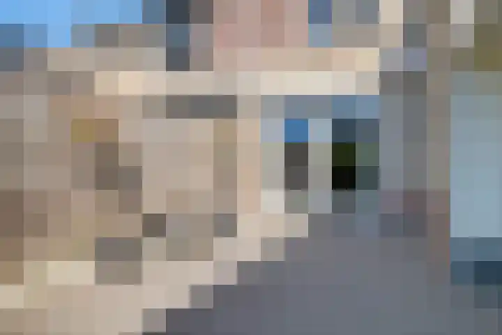 Zwartewaal 37 Bergen op Zoom thumbnail 39