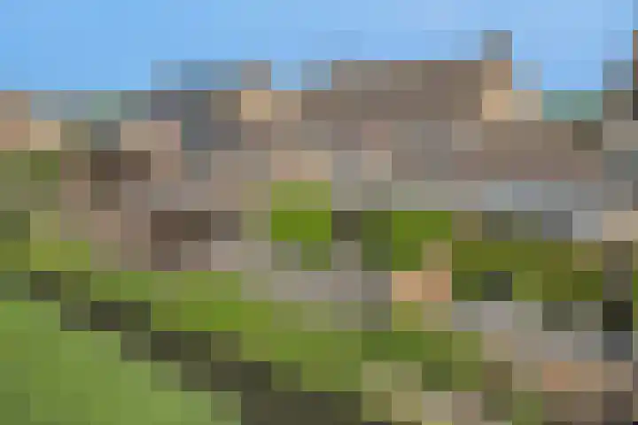 Zwartewaal 37 Bergen op Zoom thumbnail 4