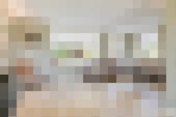 Zwartewaal 37 Bergen op Zoom thumbnail 8