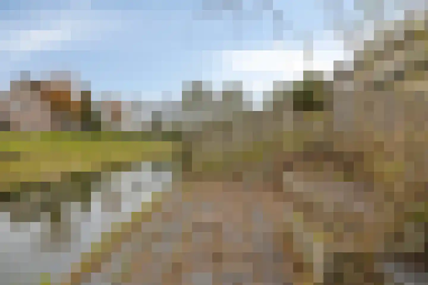 Zwartewaal 47 Bergen op Zoom thumbnail 11