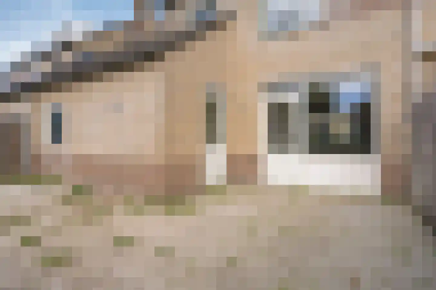 Zwartewaal 47 Bergen op Zoom thumbnail 35