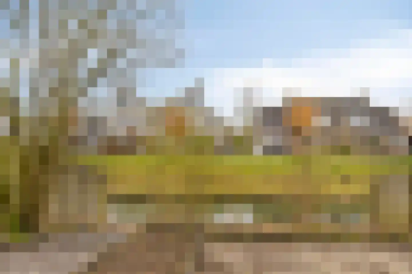 Zwartewaal 47 Bergen op Zoom thumbnail 5