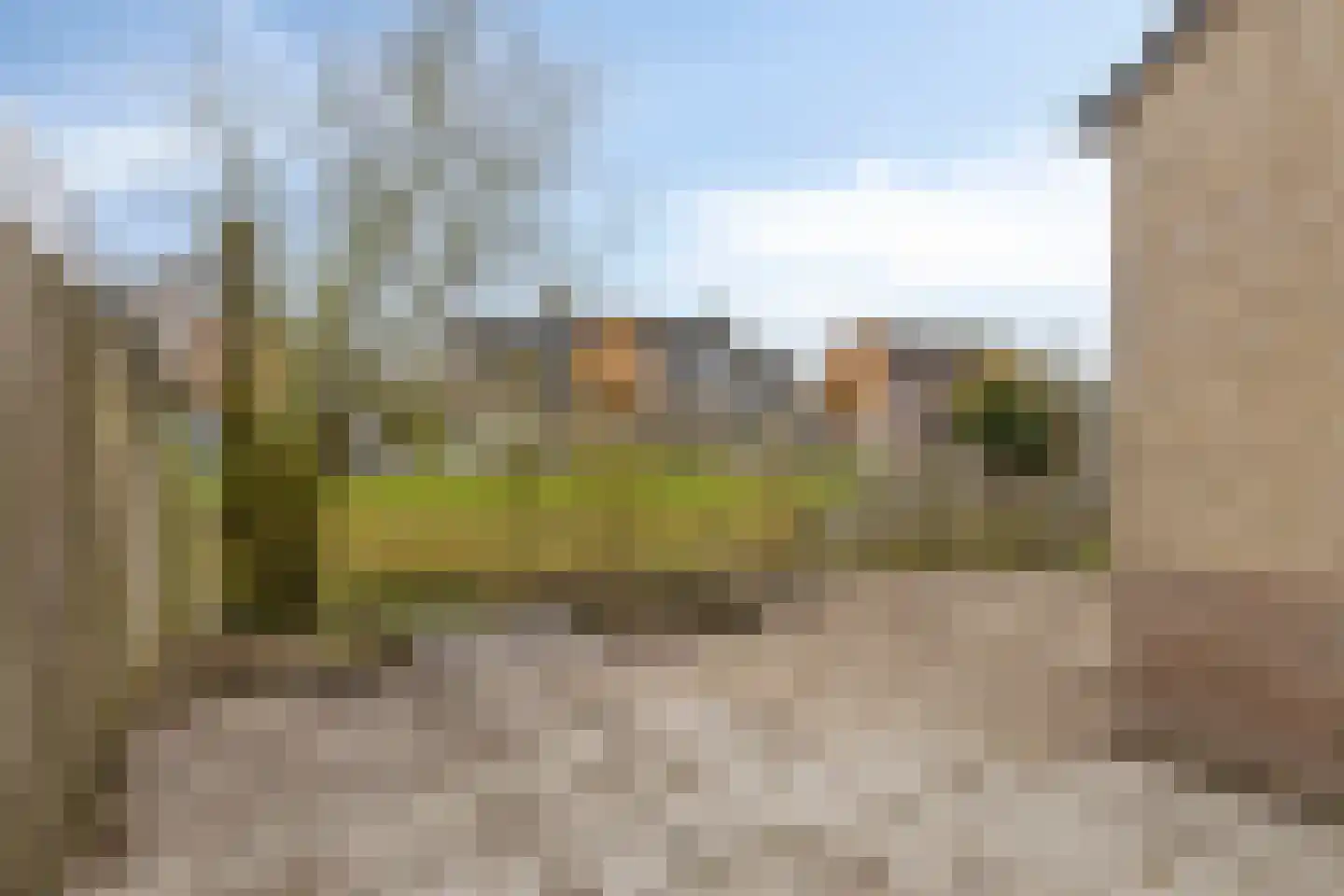 Zwartewaal 47 Bergen op Zoom thumbnail 8