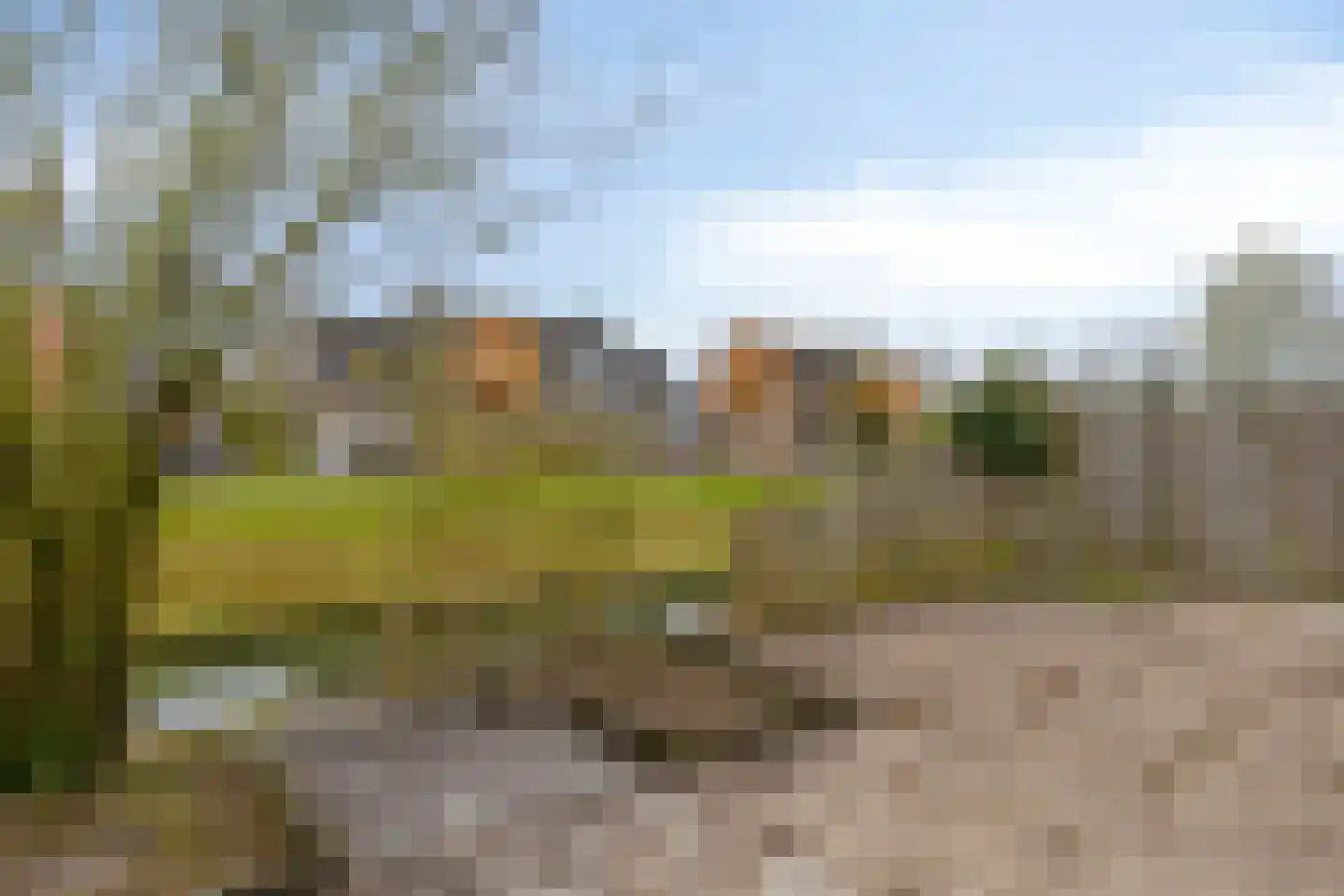 Zwartewaal 47 Bergen op Zoom thumbnail 9