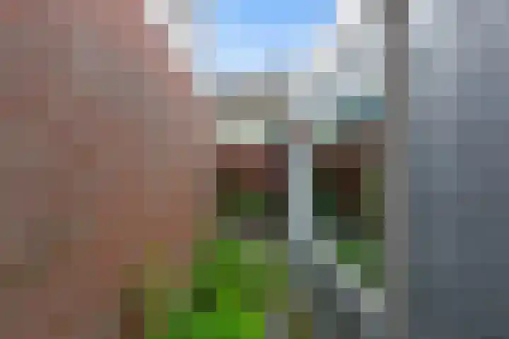Zwartewaalsestraat 37 Schiedam thumbnail 17