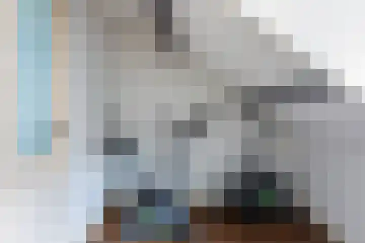Zwartewaalsestraat 37 Schiedam thumbnail 31