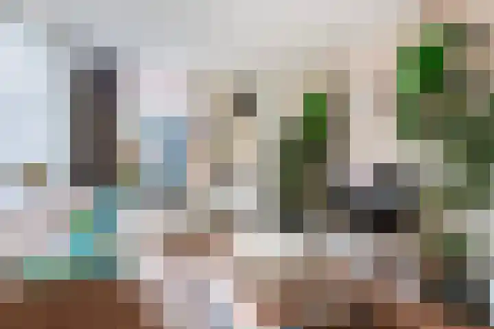 Zwartewaalsestraat 37 Schiedam thumbnail 8