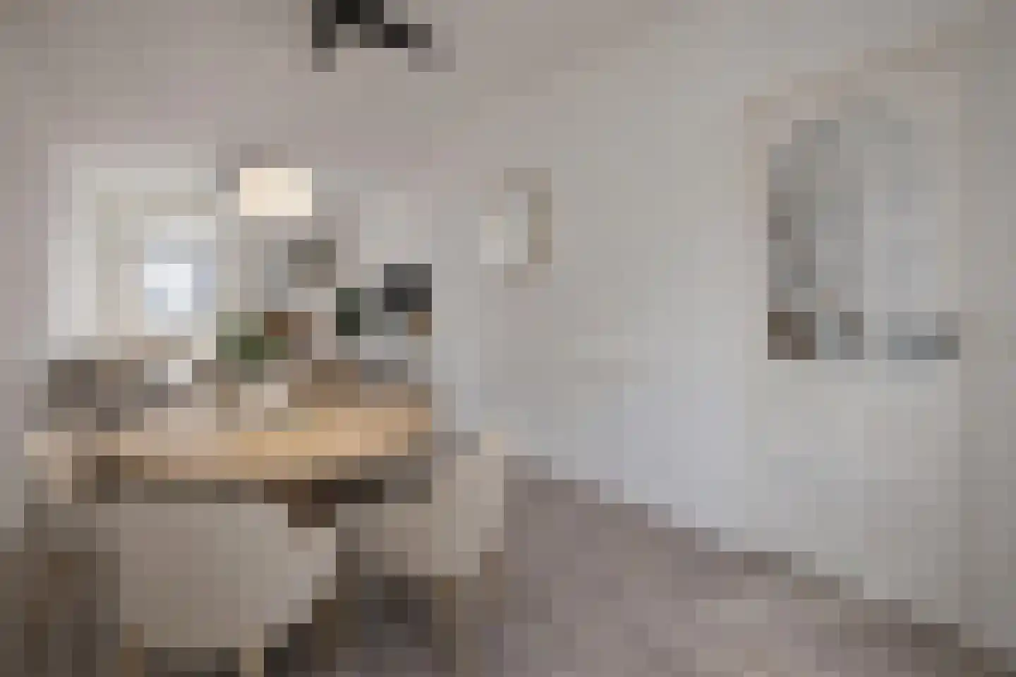 Zwartewaalsestraat 41 Schiedam thumbnail 10