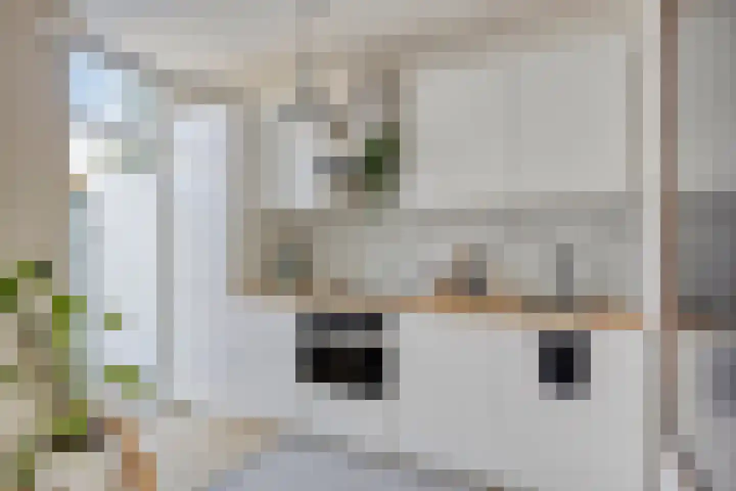 Zwartewaalsestraat 42 Schiedam thumbnail 5