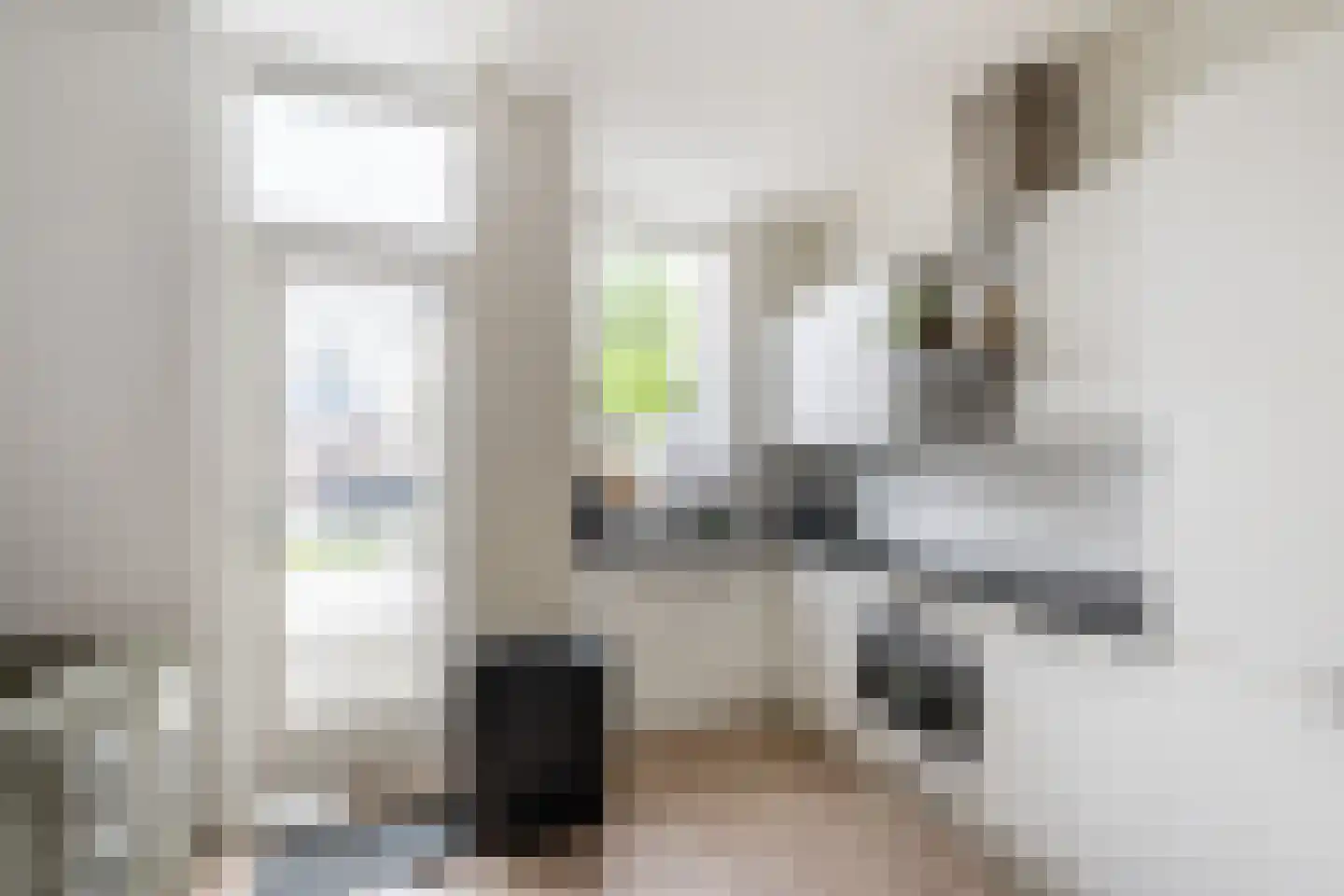 Zwartewaalsestraat 50 Schiedam thumbnail 11