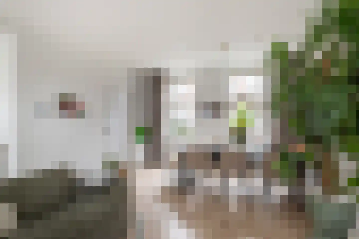 Zwartewaalsestraat 50 Schiedam thumbnail 8