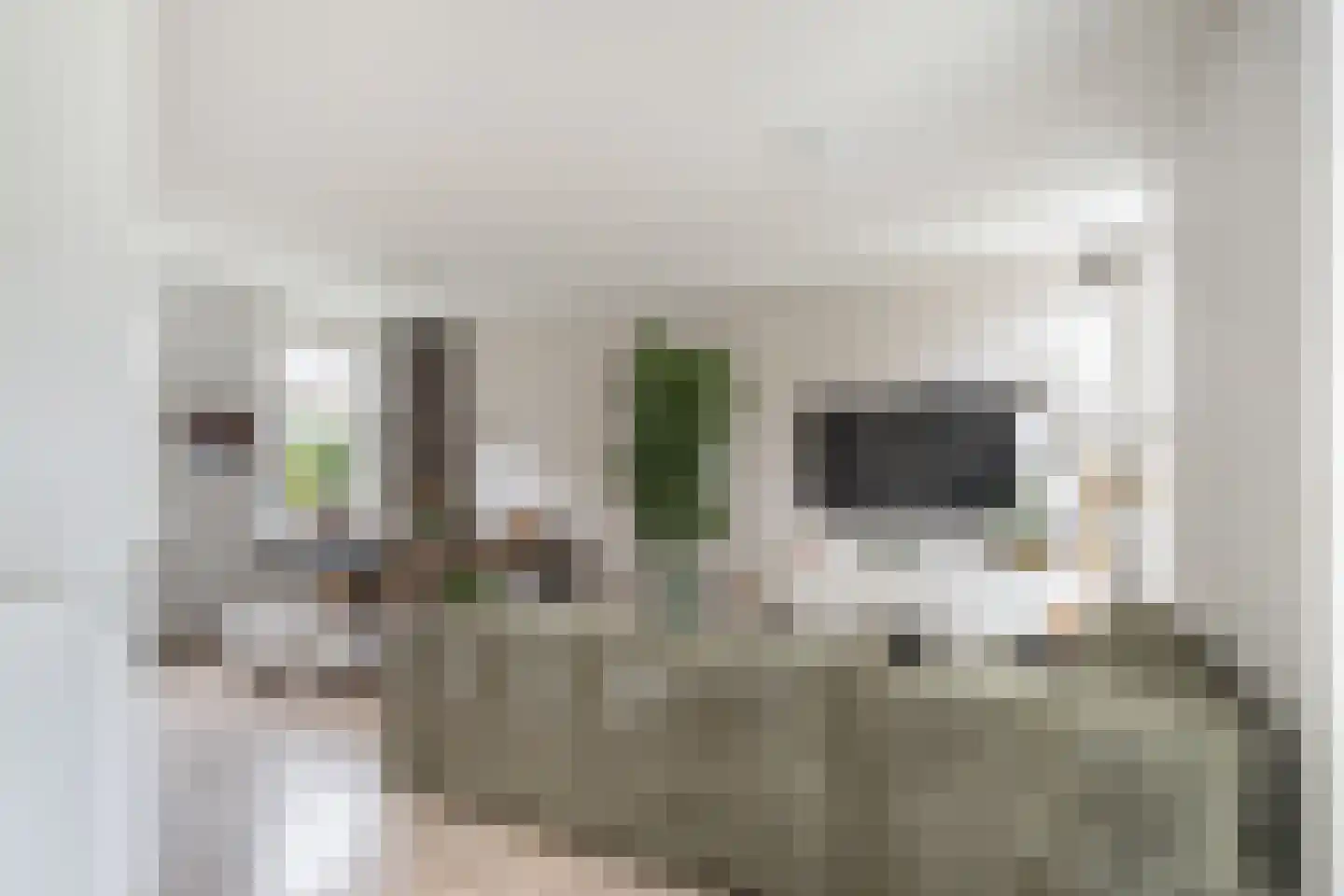 Zwartewaalsestraat 50 Schiedam thumbnail 9